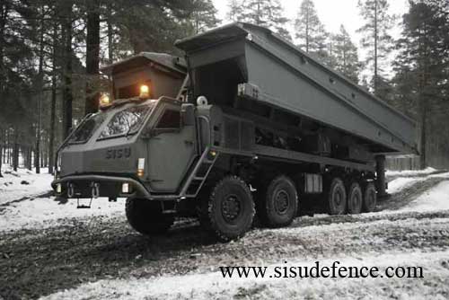 Leguan auf Sisu 10x10